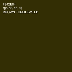 #342E04 - Brown Tumbleweed Color Image